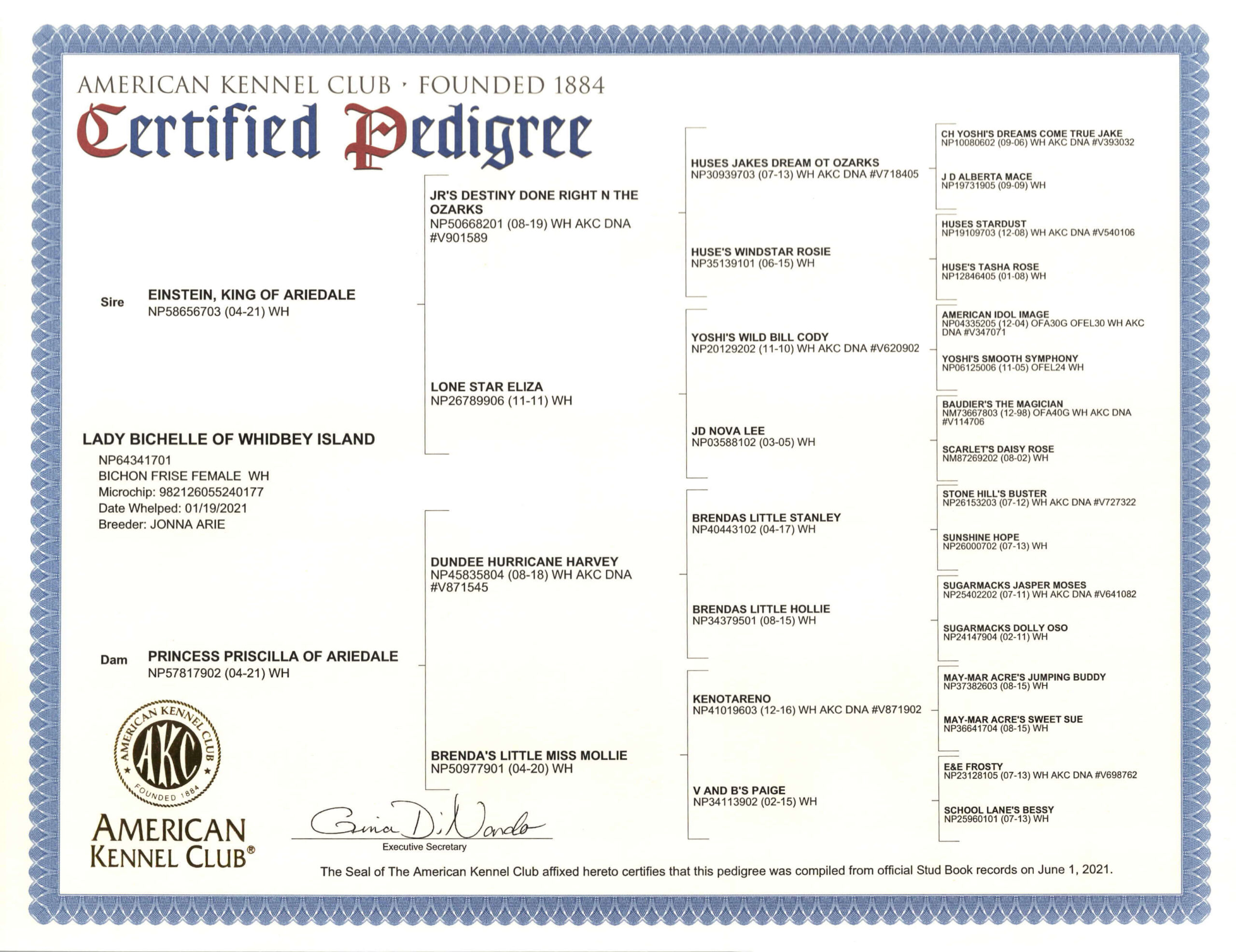 bichelle certified Pedigree with AKC Seal bichon frise of whidbey island_Page